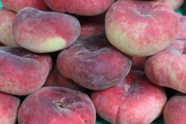 Подробное описание плоских или инжирных персиков с фото