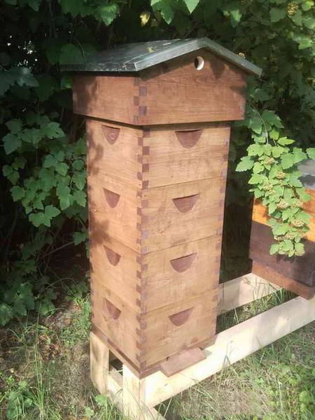 Бесфальцевые ульи  необходимость для пчеловода с фото
