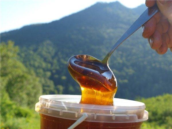 Полезные свойства и противопоказания горного мёда с фото