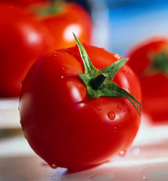 Испытание ранних сортов томатов, отзывы дачников с фото