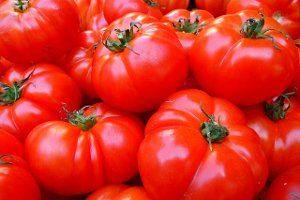26 самых урожайных сортов помидоров - фото