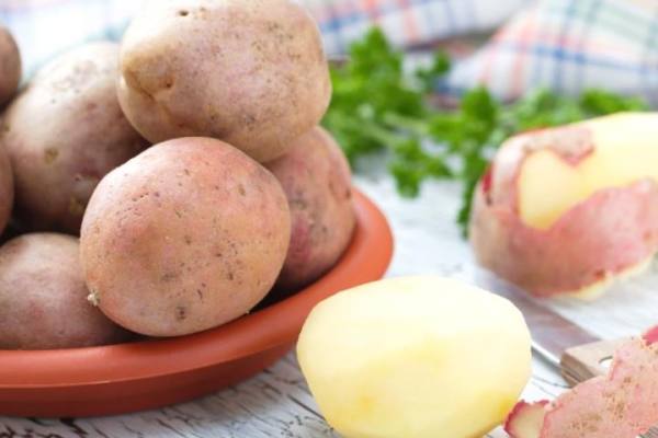 Подробное описание и характеристики картофеля сорта Романо - фото