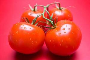 Томат Верлиока f1  ранние помидоры без особого труда - фото