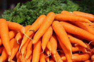 Правила посева моркови семенами в открытый грунт - фото