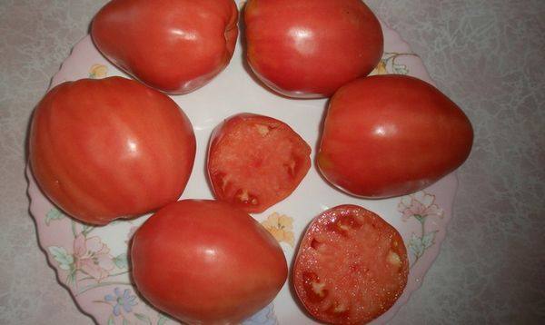 Подробное описание и характеристики сорта томата батяня - фото