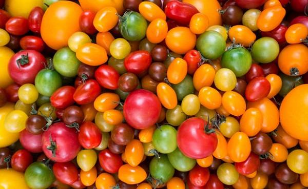 Подробное описание и характеристика сорта томат сливка - фото