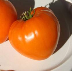 Золотое сердце - оригинальный томат с прекрасным вкусом Описание сорта и от ... - фото